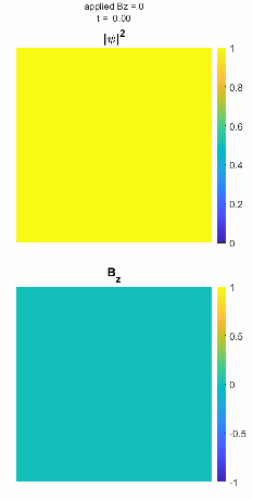 TDGL order parameter and magnetic field time evolution